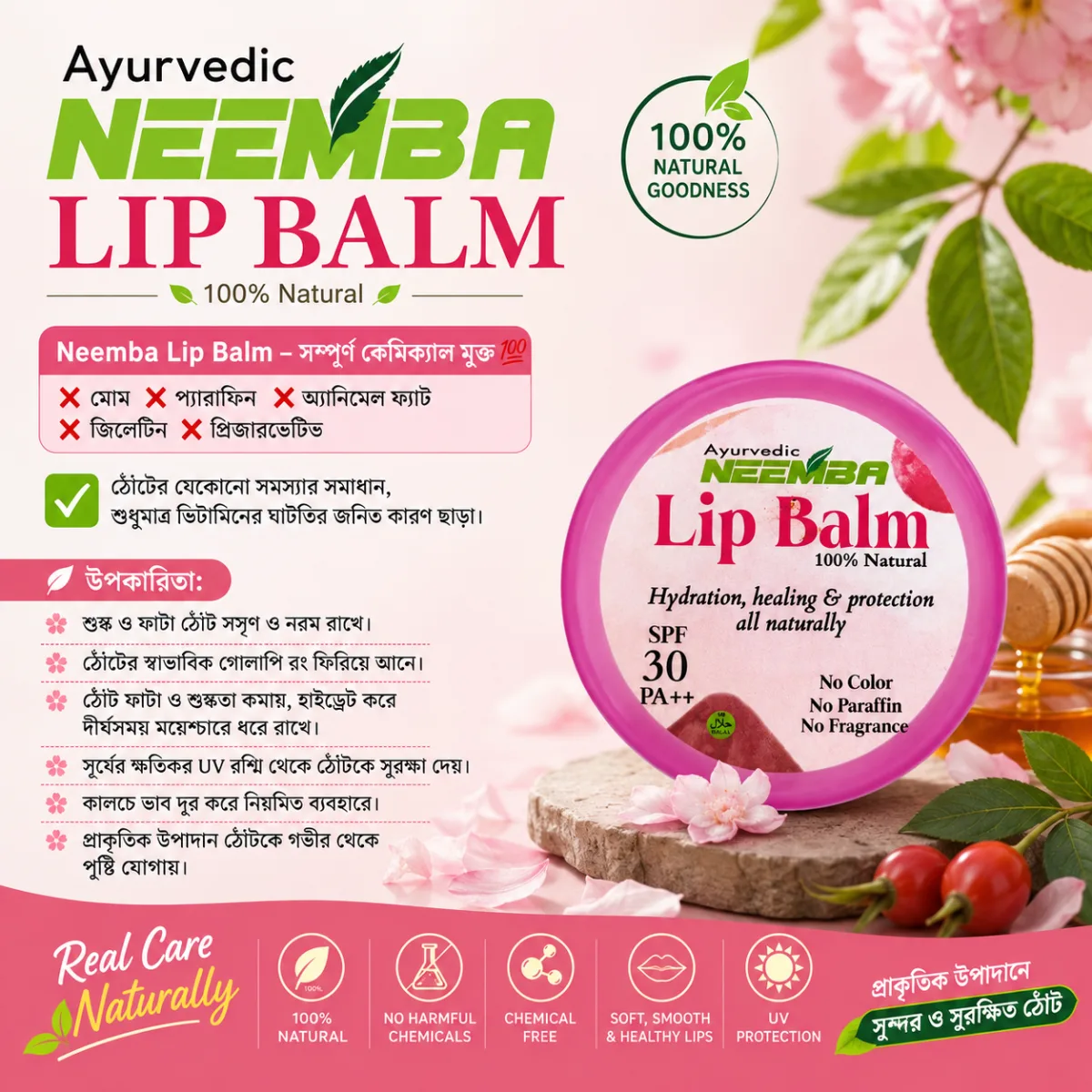 Lip Balm
